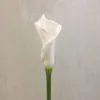 SUK1