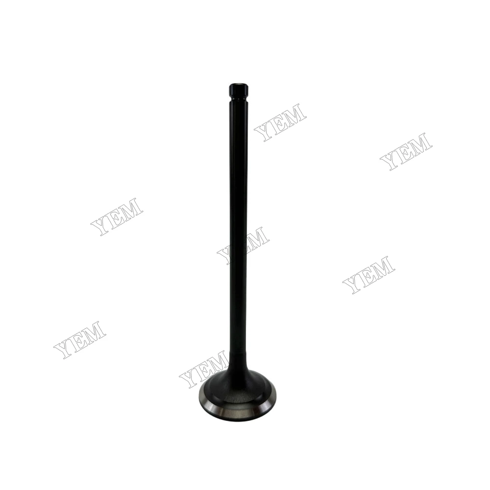 Intake Valve Fit for Mitsubishi S6B Engine 5