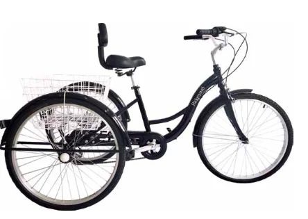 3 Wheel Adult Bicycle Triciclo Para Adultos Cargo Tricycle Trike for Sale 3 Wheel Adult Bicycle Triciclo Para Adultos Cargo Tricycle Trike for Sale
