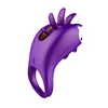 Pourpre