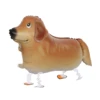 Retriever marrone-dorato (60*45 cm)