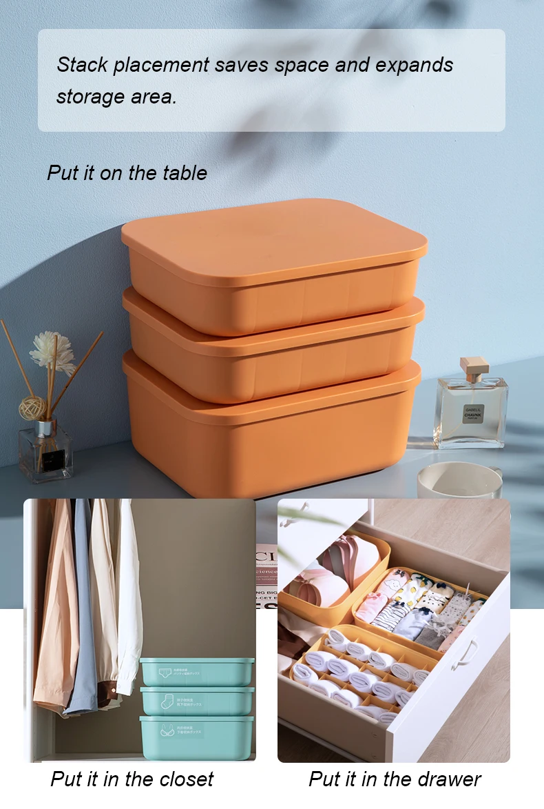 Component Separated Storage Box OEM Household Clothes Underwear Socks Plastic Storage Boxes & Bins Rectangle Carton Modern 2pcs