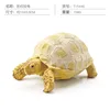 Colorido Q9899-S596 Leopardo Tortuga 158g