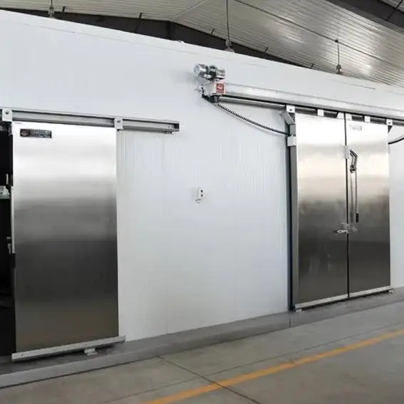 Customized cold storage and freezing systems for food processing and cold chain logistics