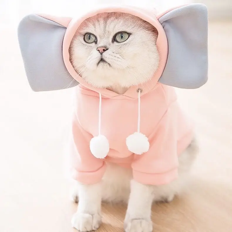 Кошка В Платье Фото