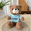 Felpa marrone con orsetto di peluche e azzurro cielo