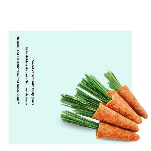 Protein-Rich Pet Snack Variety Pack Micky Carrot Grinding Stick Grass Cake Rabbit Totoro Dutch Pig Hamster Chicken Vegetable