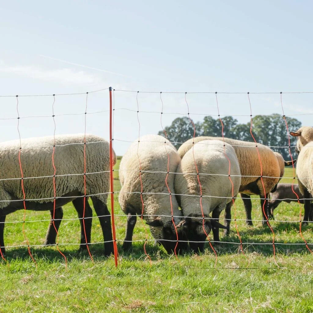 Premium Semi-Rigid Anti-Predator Electric Poultry Netting Fence Portable Pre-Assembled Electric Fencing for Chicken Sheep Goats