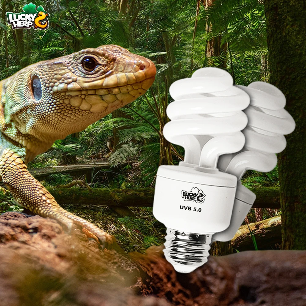 uvb bulb for chinese water dragon