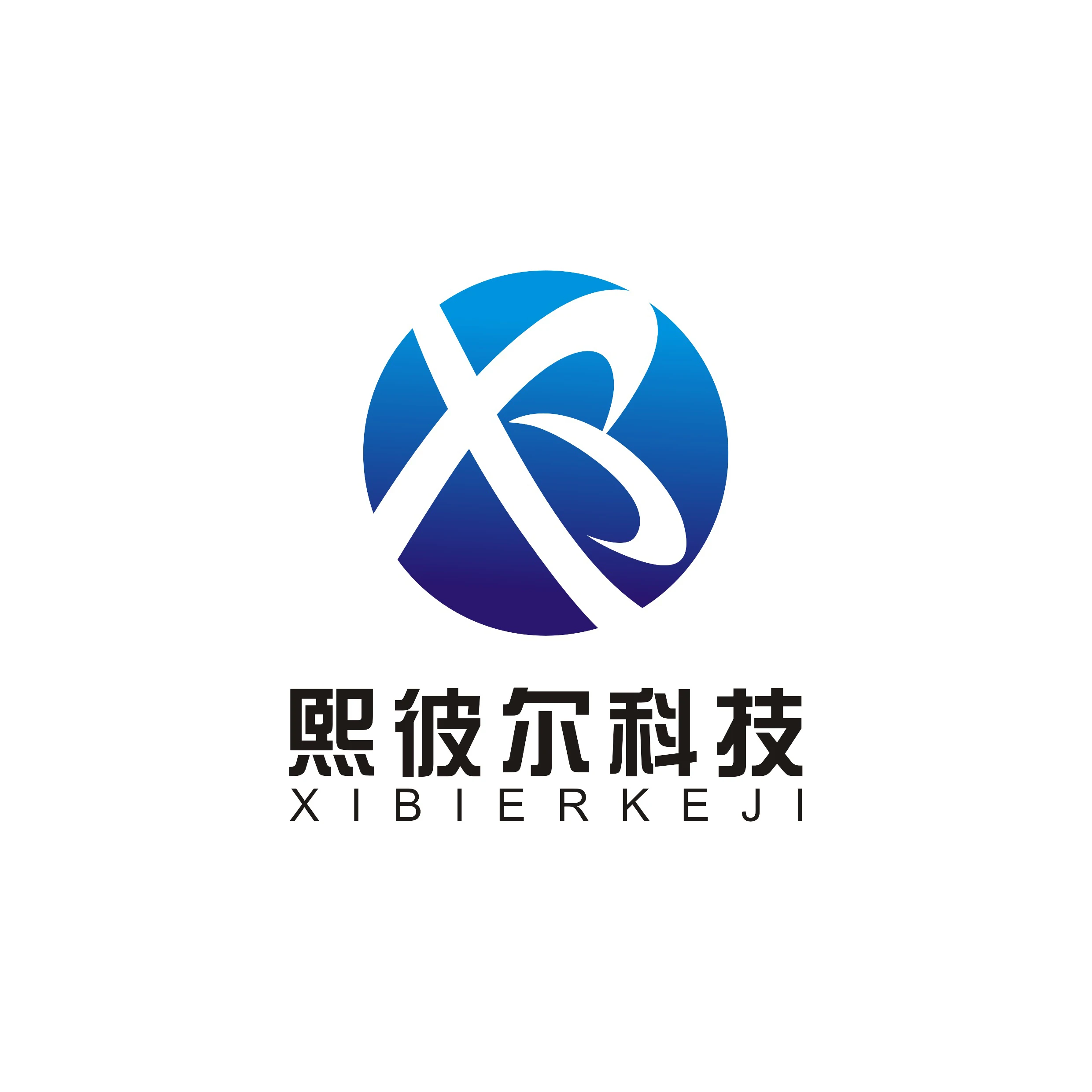 Company Overview - Shenzhen Xibier Technology Co., Ltd.