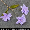 Purple Trident Lily Branch
