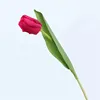 fuschia