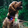 multi 4 fixed color collar