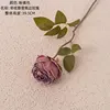 Pink purple