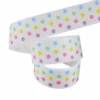 Rainbow-2.5cm*10 yards-Polka Dot