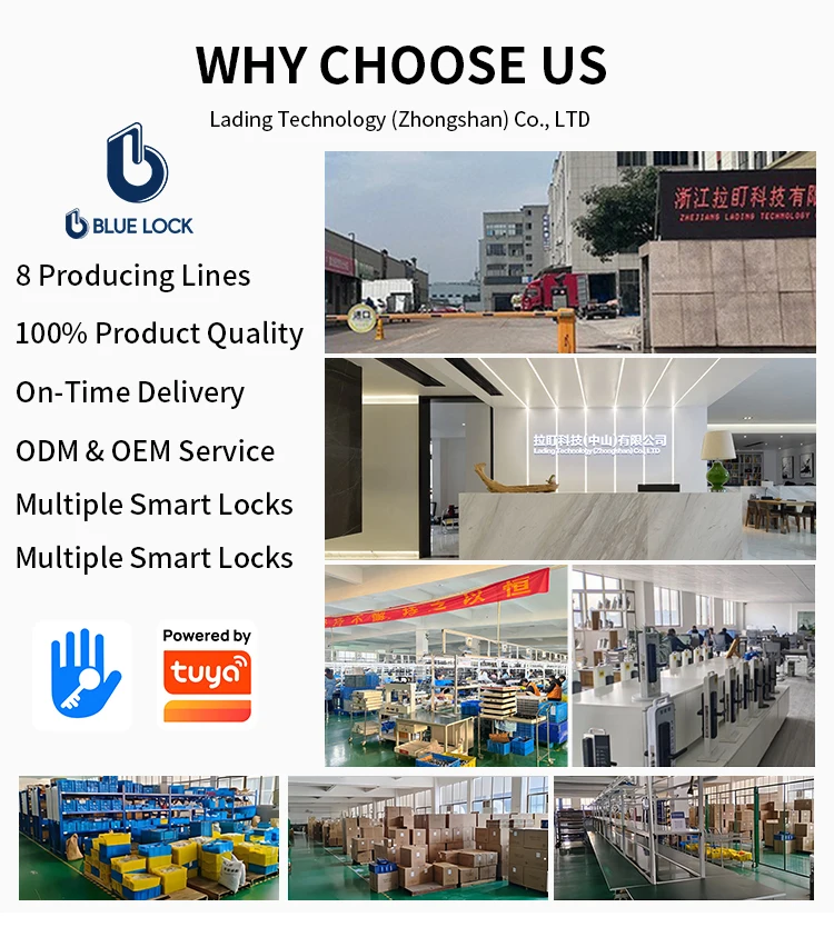 Product Introduction