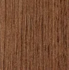 Golden Walnut
