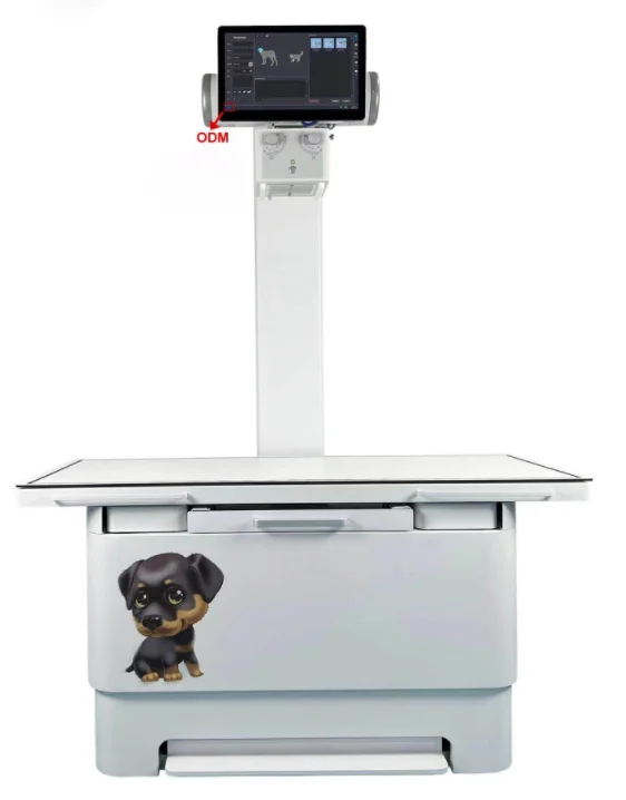 Digital Vet Dr Xray Table Fixed Veterinary Dog X Ray Machine Vet X Ray Machine Price Buy