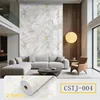 -CSTJ004