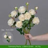 Peonia Tianxiang/bianca