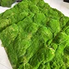 Green-07