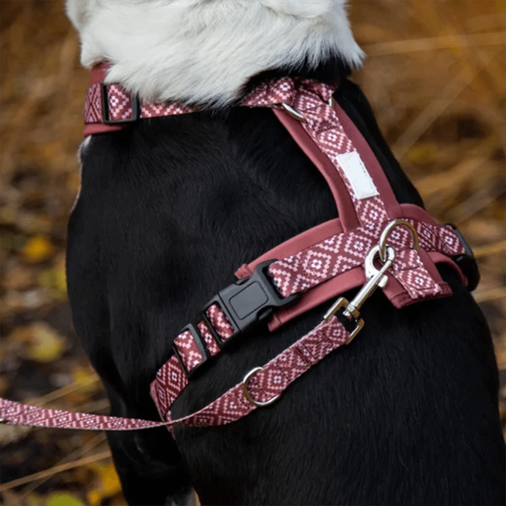 OEM Custom Pattern Dog Harness With Matching Leash Collar No Pull Walking for Small Medium and Large Dogs