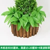 4 bundles of Persian grass on the wooden stake