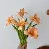 Cinco tulipanes naranjas en flor