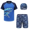 Shark Print