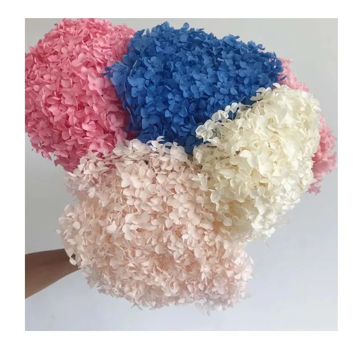 Wholesale Anna Hydrangea Flowers Preserved Hydrangea On Stem Hydrangea