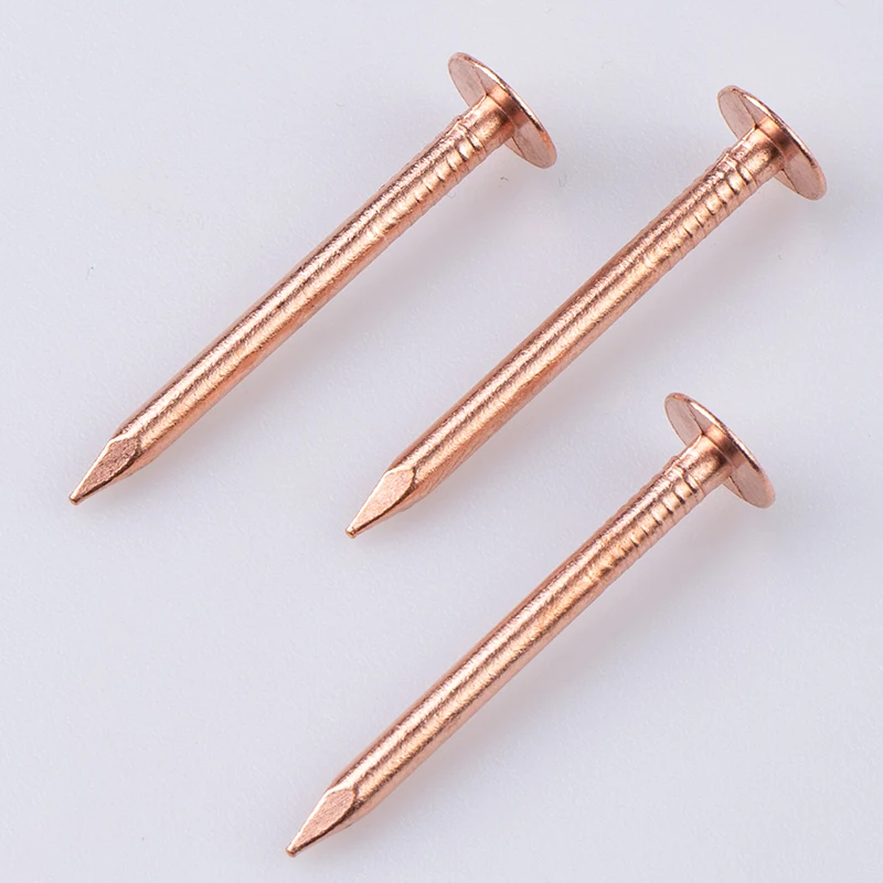 High Quality Flat Head 3.1x38mm Copper Wire Nail Pure Copper Wood Nail