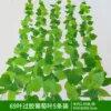 69 grape leaves with 5 leaves coated with gluten