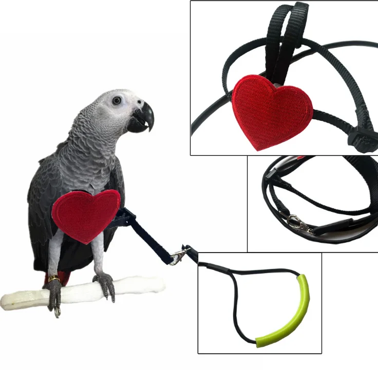 POPETPOP 200CM Bird Harness Parrot Leash Safe Training Bird Strap Lead Bird Traction Rope Bird Leash for Budgerigar Mynah Parrot