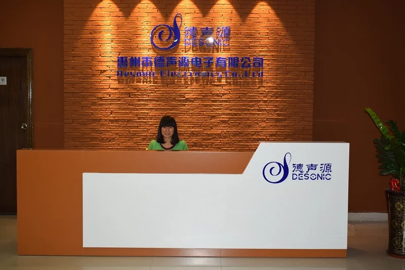 Huizhou Desonic Electronics Co., Ltd. 1