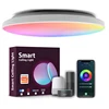 White (Tuya WIFI Remote control)
