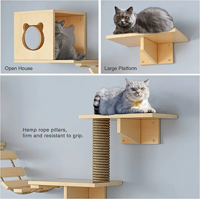 Wooden Cat Wall Shelves And Perches Set Floating Cats Wood Climb