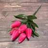 rose red