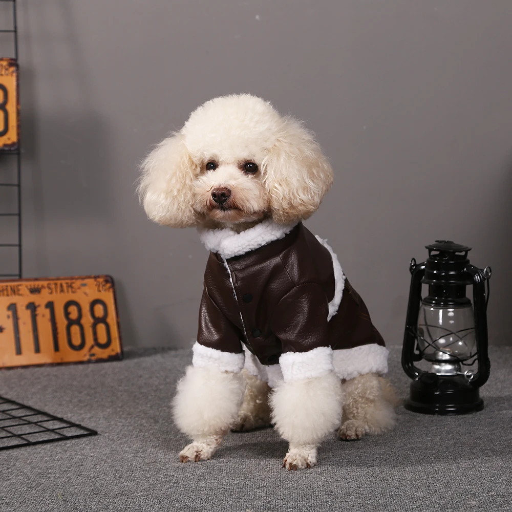 personalized dog clothes cheap