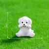 15#Little dog lying on the chair