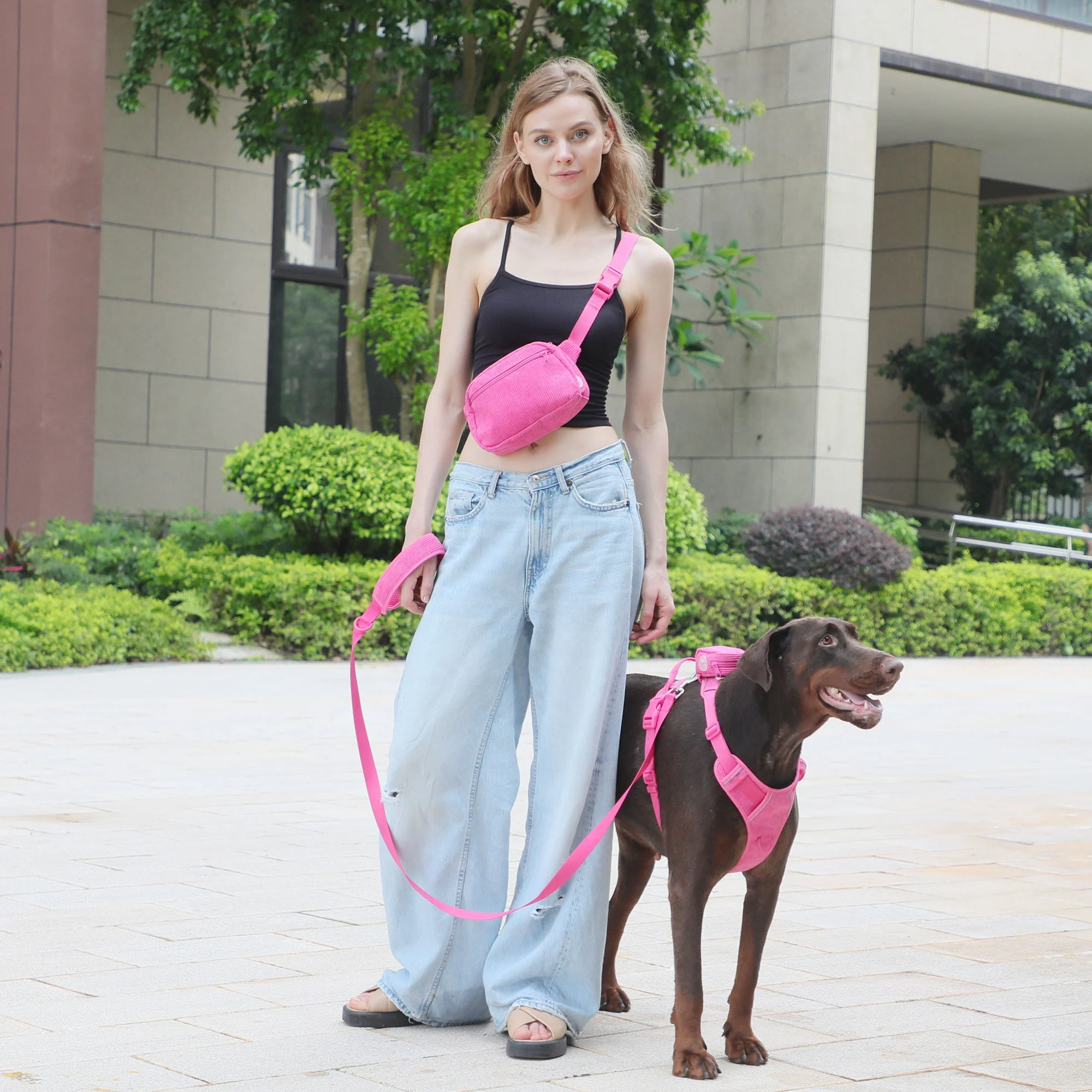 Luxury Corduroy No Pull Dog Harness Designer Custom Color Pet Collar Leash  Backpack Cute Dog Walking Bag Dog Leash and Harness