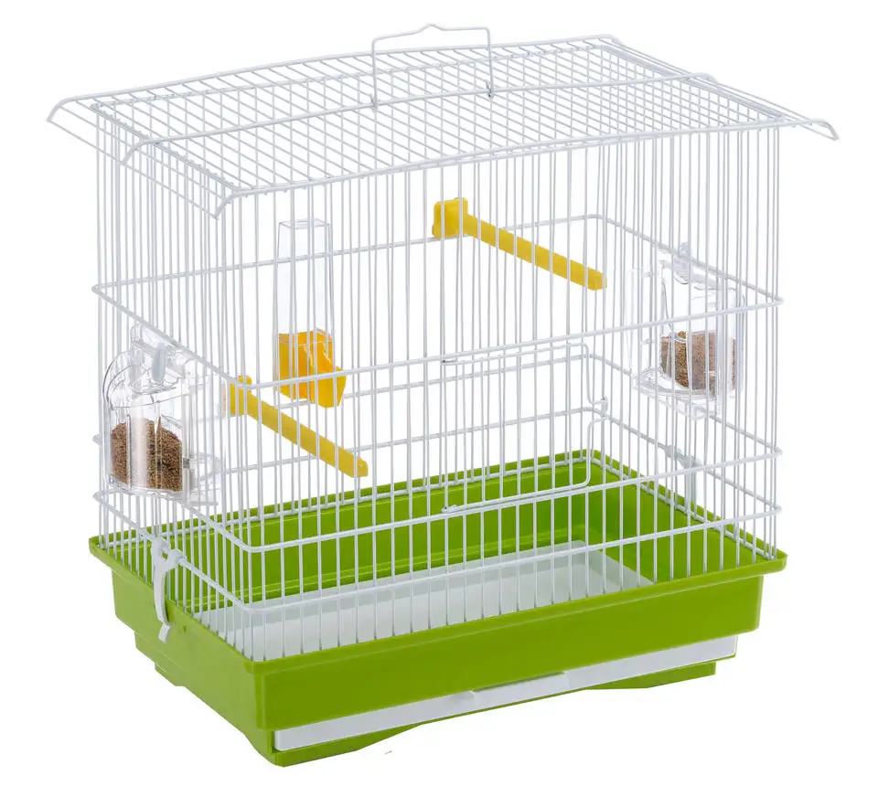 Giusy Canary And Small Exotic Bird Cage Photo Inspiration