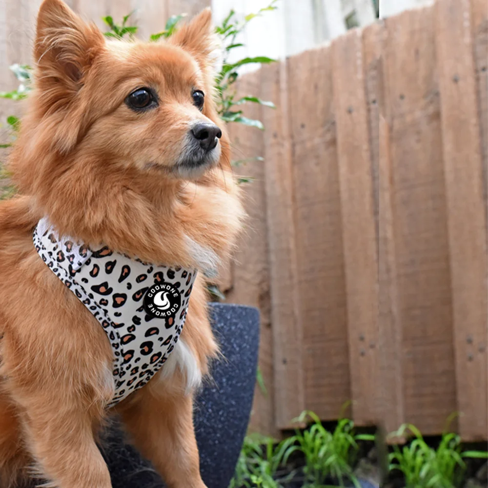 Leopard Pattern Print Custom Neoprene Dog Harness Private Label Dog