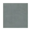 #05	Gris brumoso
