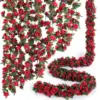 Raya roja