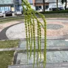 11 teste pendenti di riso verde