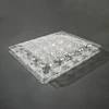 20-grid quail egg box