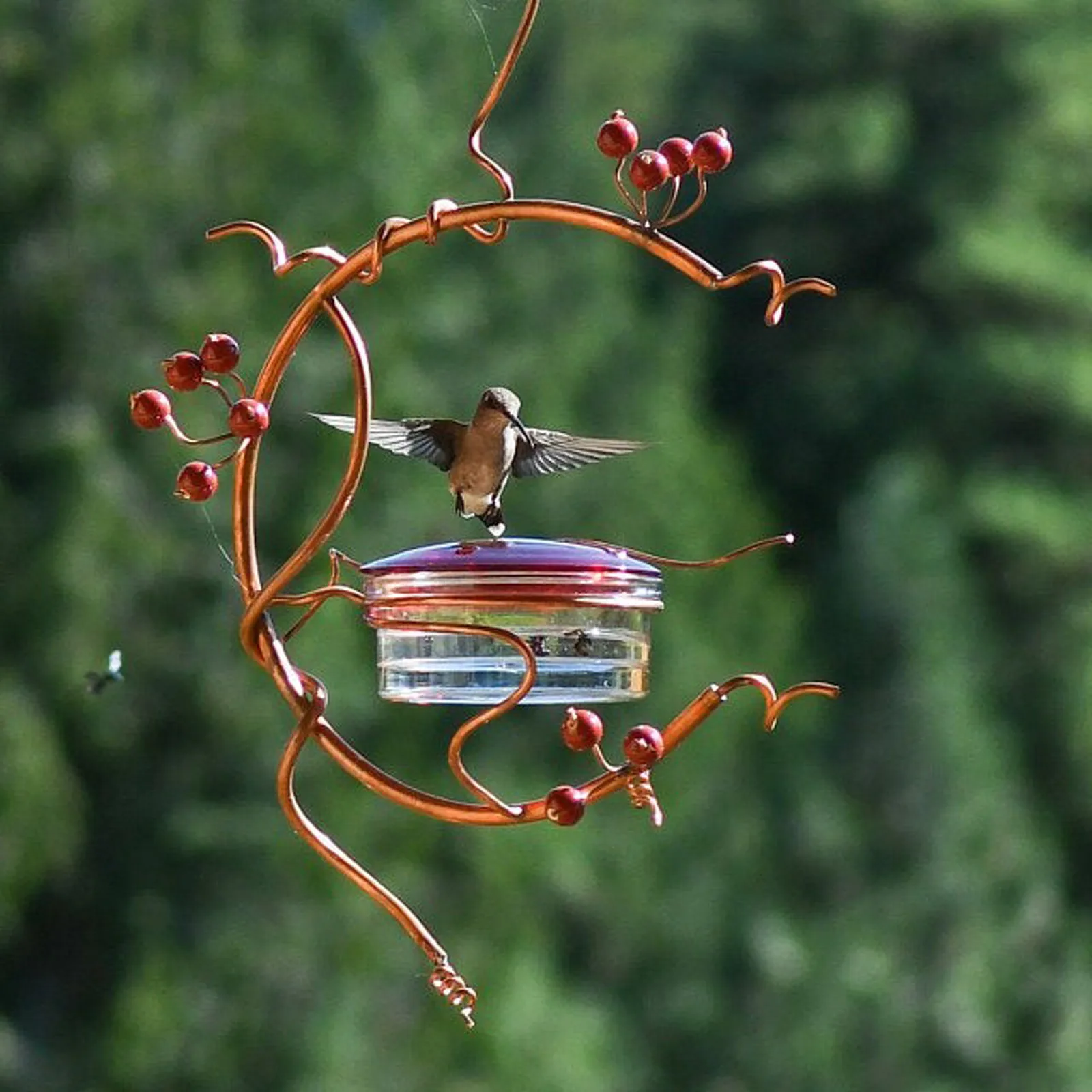 1Set Garden Metal Hanging Hummingbird Feeders for Outdoors MUSJOS Red Berries Hummingbird Feeder 1Pcs Window Bird Feeder for Balcony Backyard Decorative 