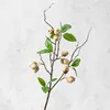 A white branch