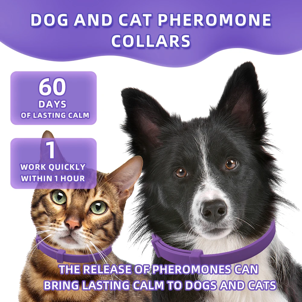 Adjustable Long Lasting Calming Collar For Dogs 60 Days Pheromones Photo Inspiration