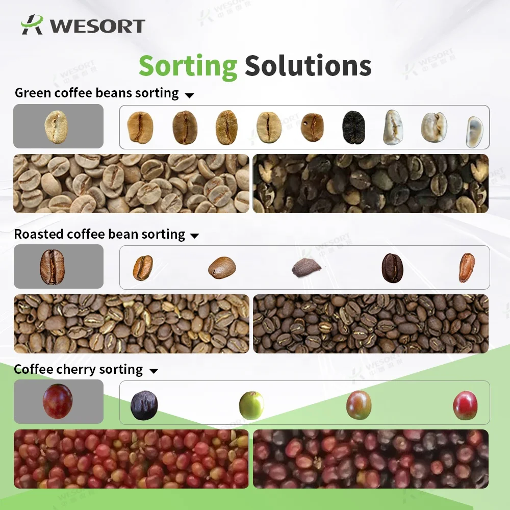 For Coffee Processing Plant ISO9001 Certified Chinese Manufacturer High Quality Color & Shape Sorter 99.9% Sorting Accuracy